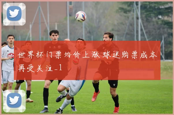 世界杯门票均价上涨 球迷购票成本再受关注_1